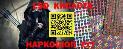 молекула духа Новозыбков