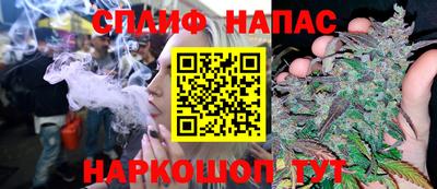 молекула духа Новозыбков