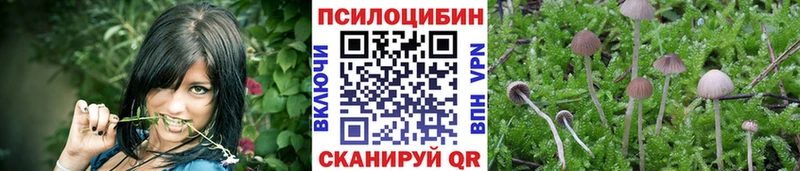Псилоцибиновые грибы прущие грибы  Шатура 