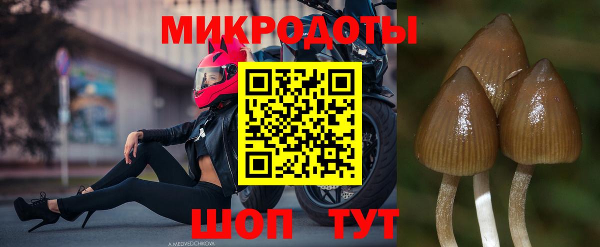 Шатура  Галлюциногенные грибы прущие грибы  Вход с VPN 